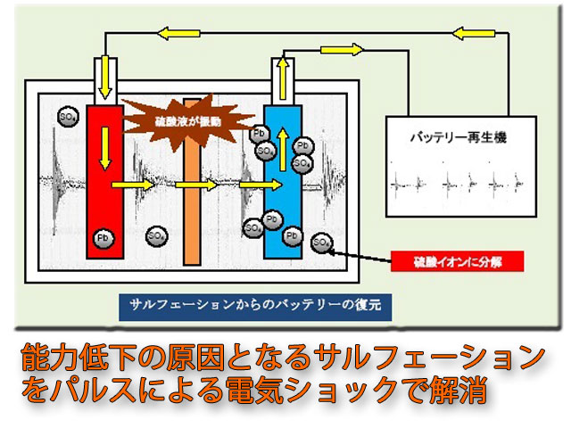 特徴について